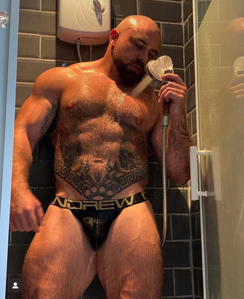 British Bear