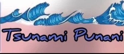 Tsunami Punani profile banner