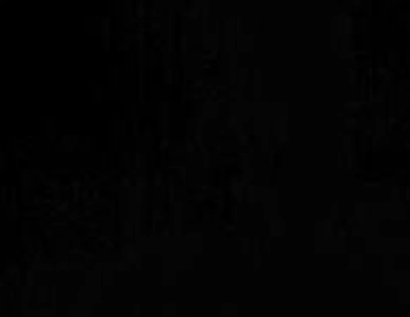 brandao profile banner
