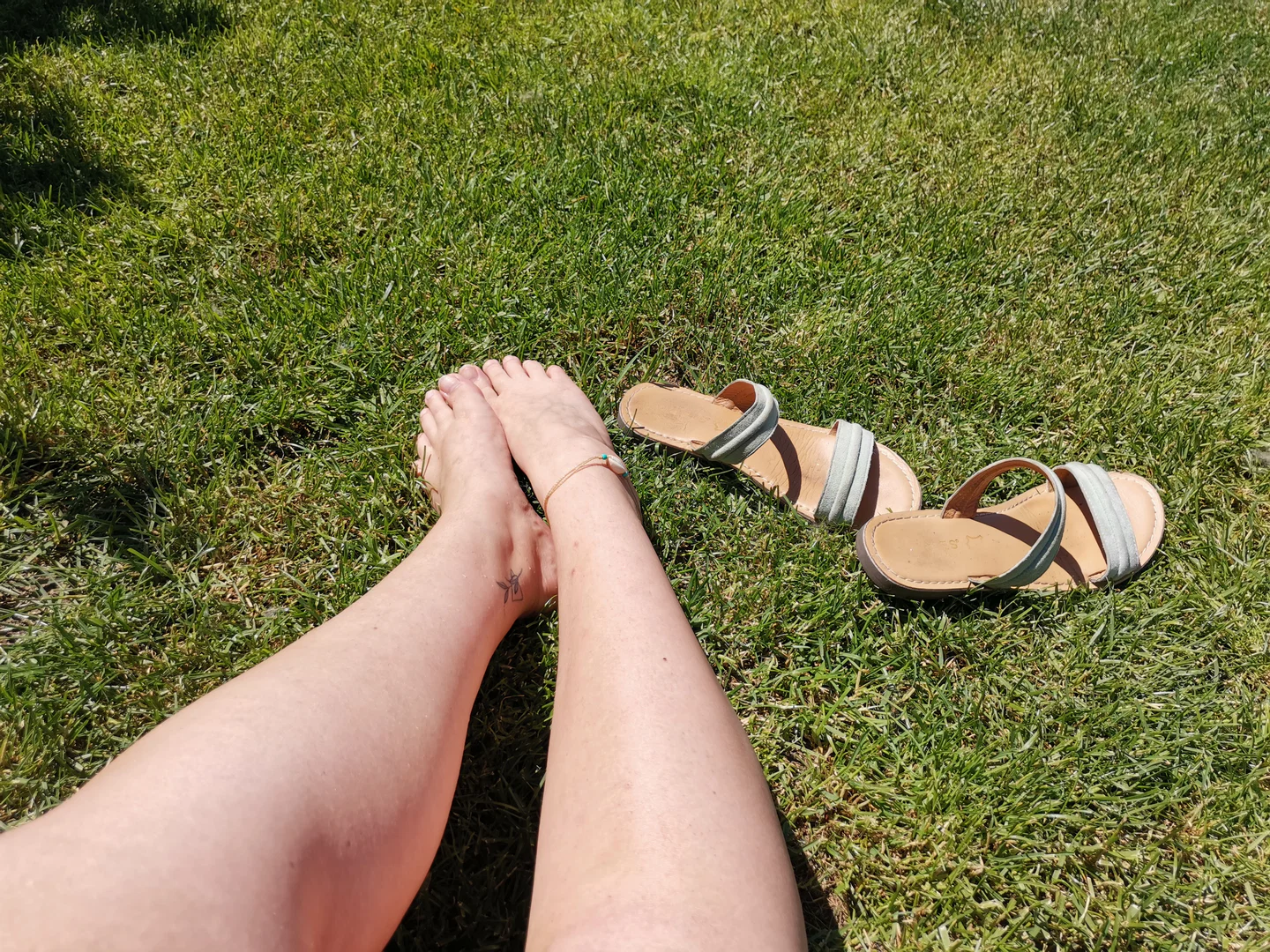 Ten Tiny Toes profile banner