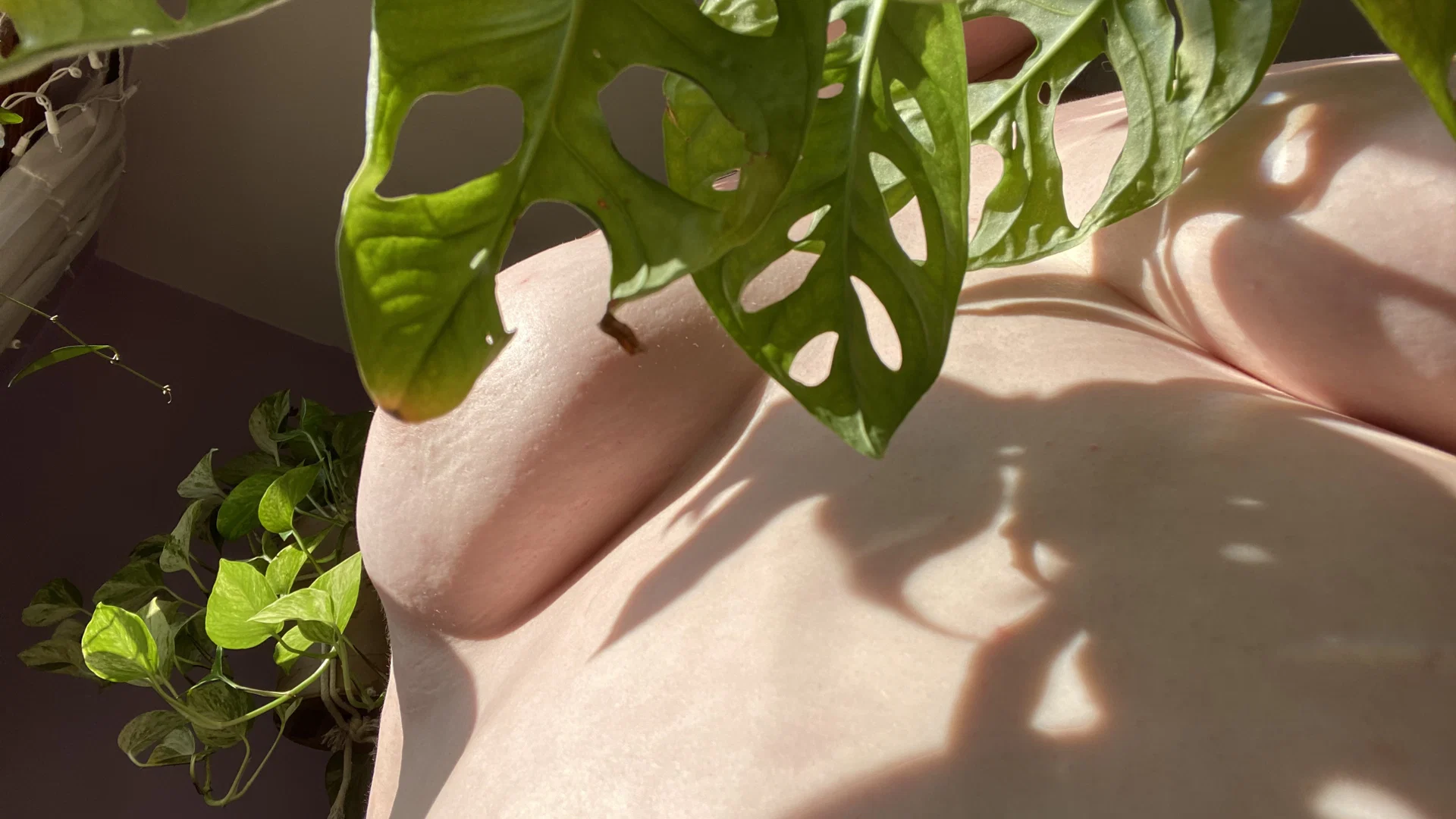 good kitty honey 🧸 profile banner