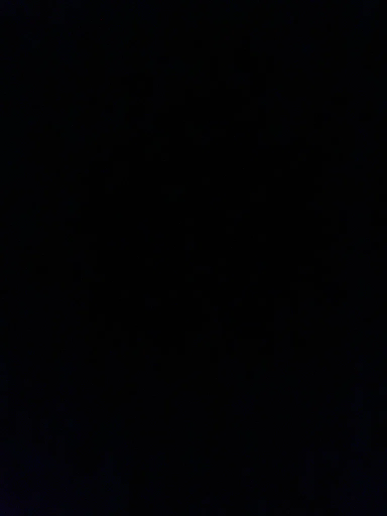POV Savage