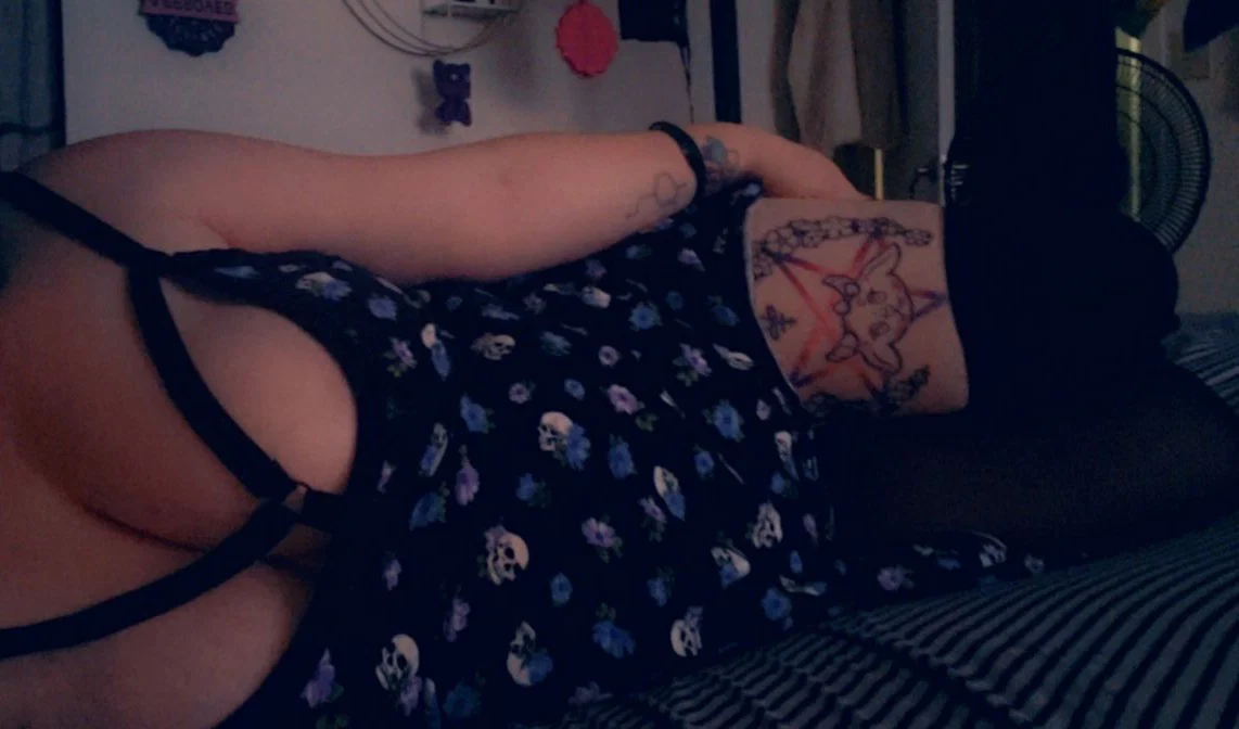 Kitten profile banner