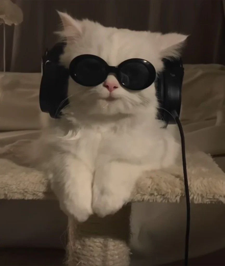 kat