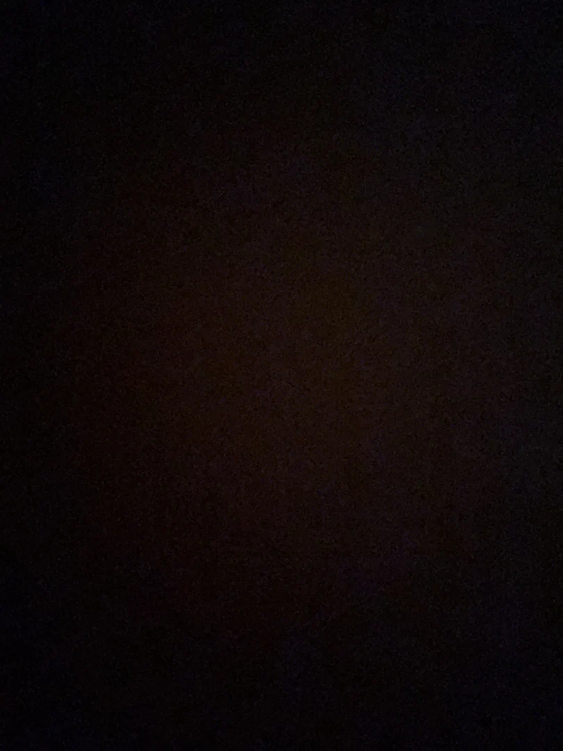 HungryForStrays profile banner