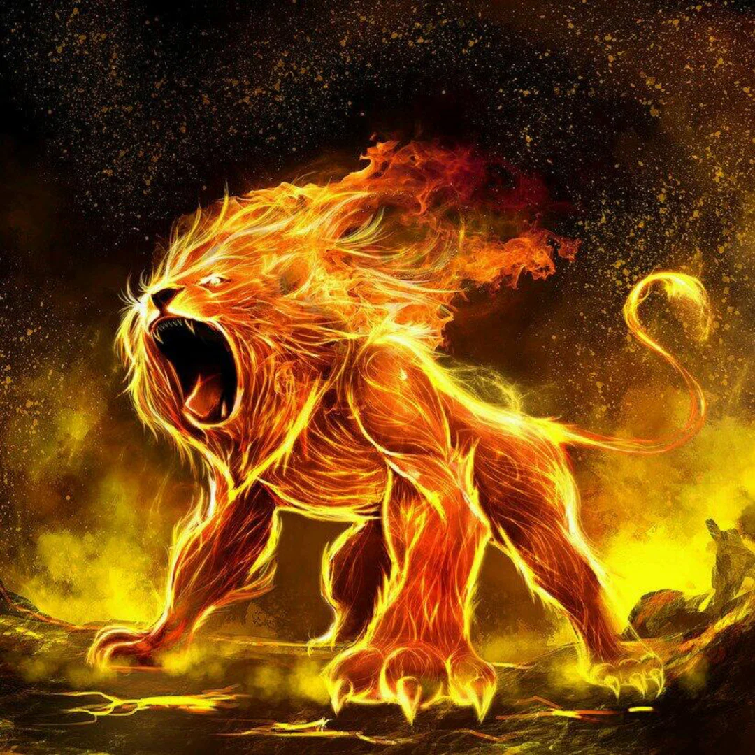 Leo King profile banner