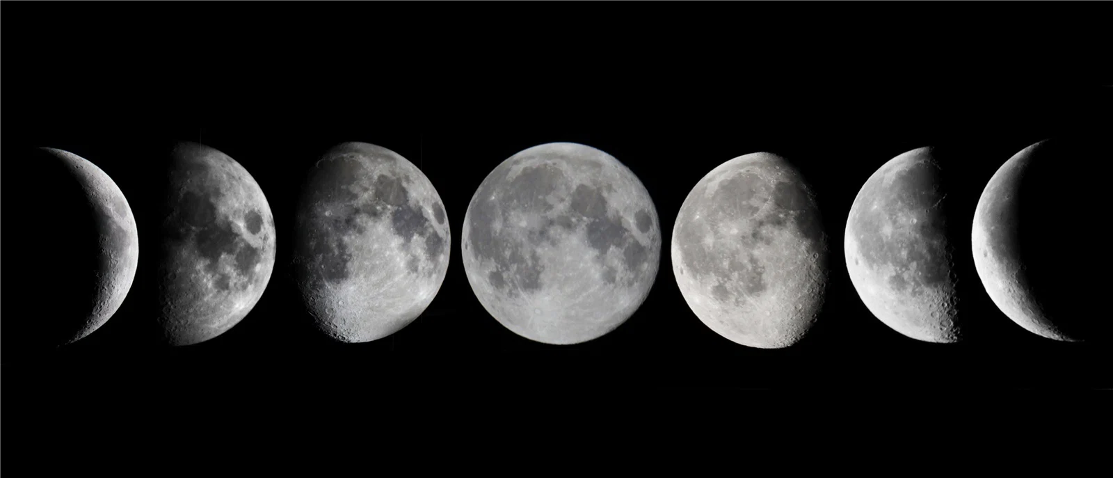 Luna Belle profile banner