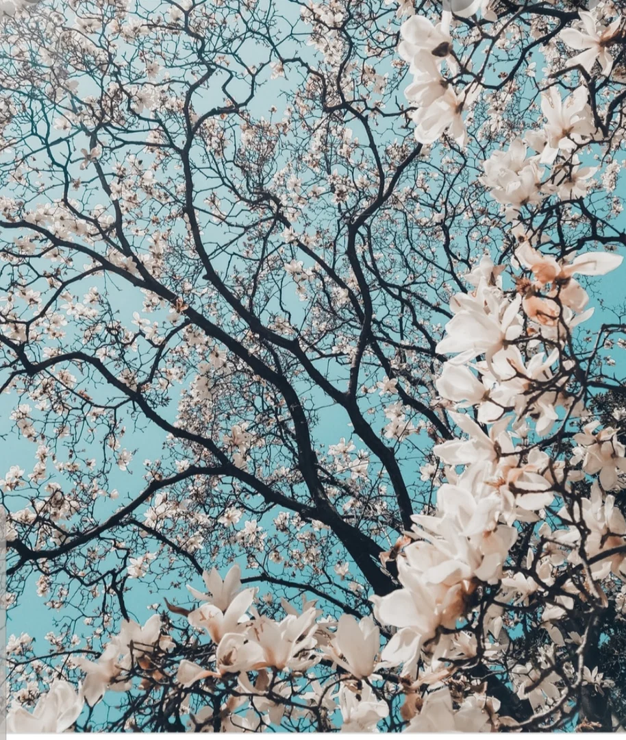 Honeyysubb 🍯 profile banner