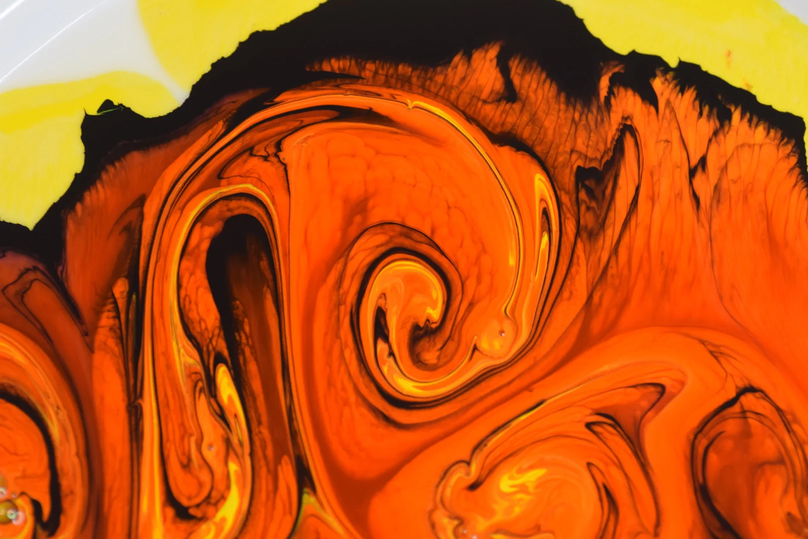 Kitty profile banner