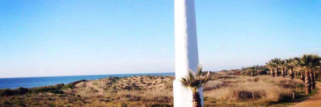 BertoRMXX profile banner