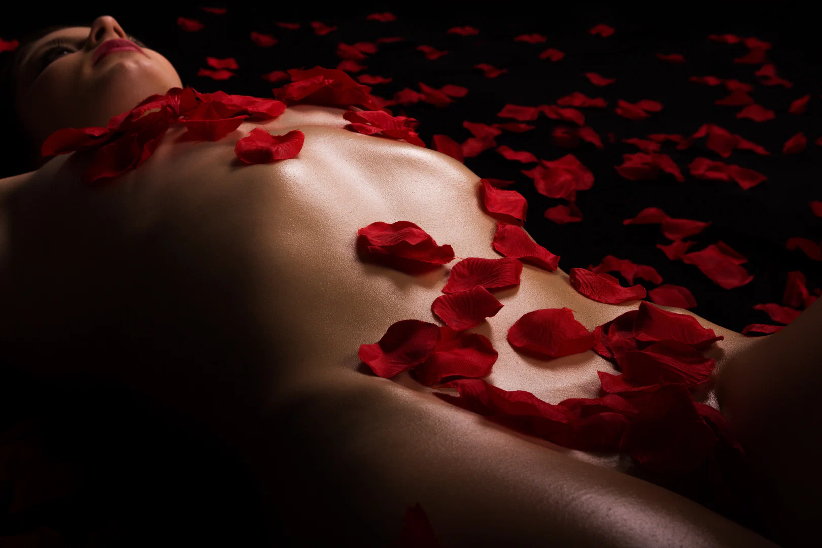 Mrs. Bella Blow & Mr. Paradise Long profile banner