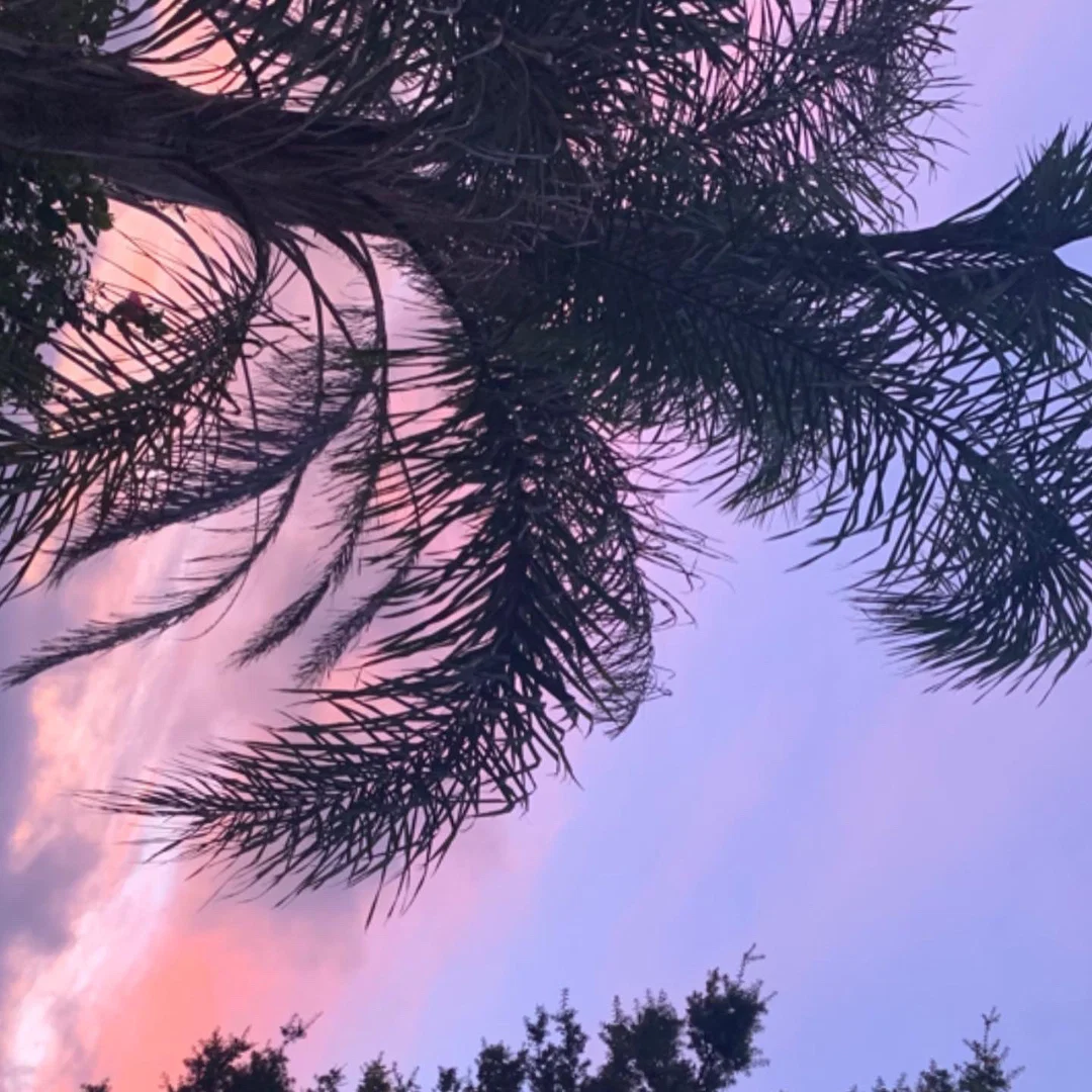 gabbie ✨ profile banner