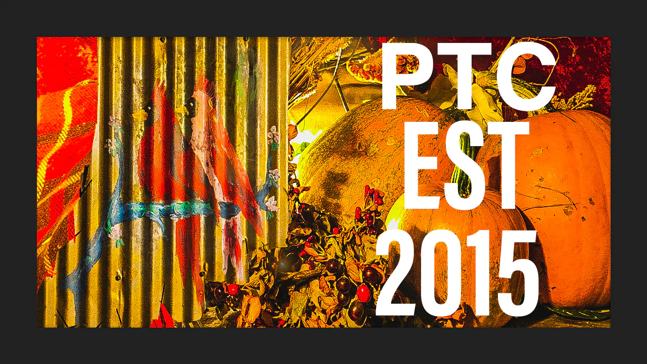 Patina the Cardinal profile banner