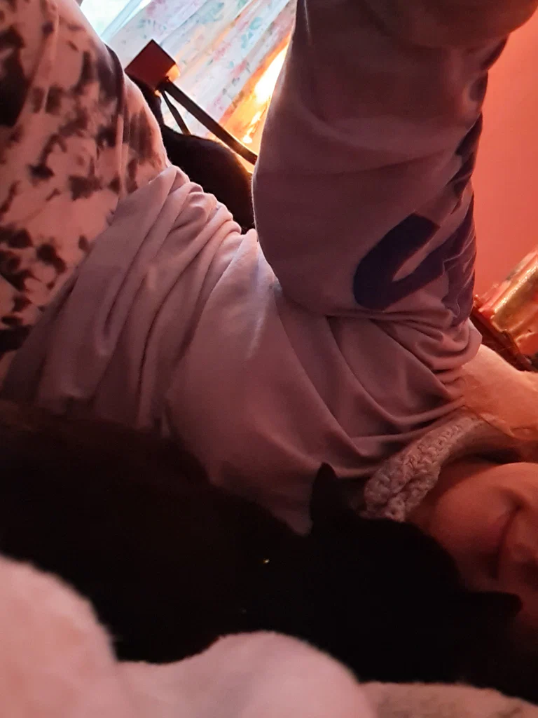 HoneyPie44