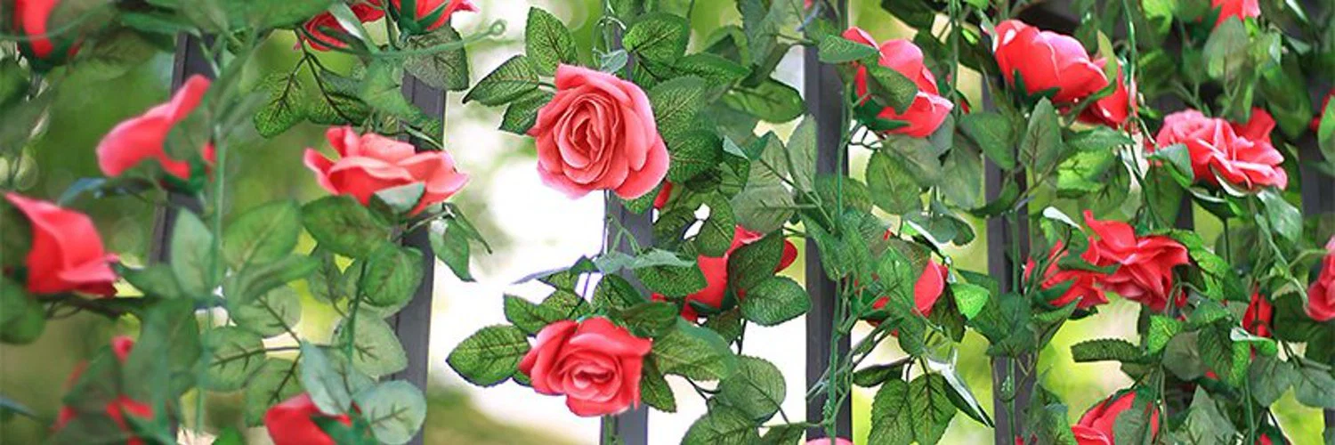 Rose ๐น profile banner