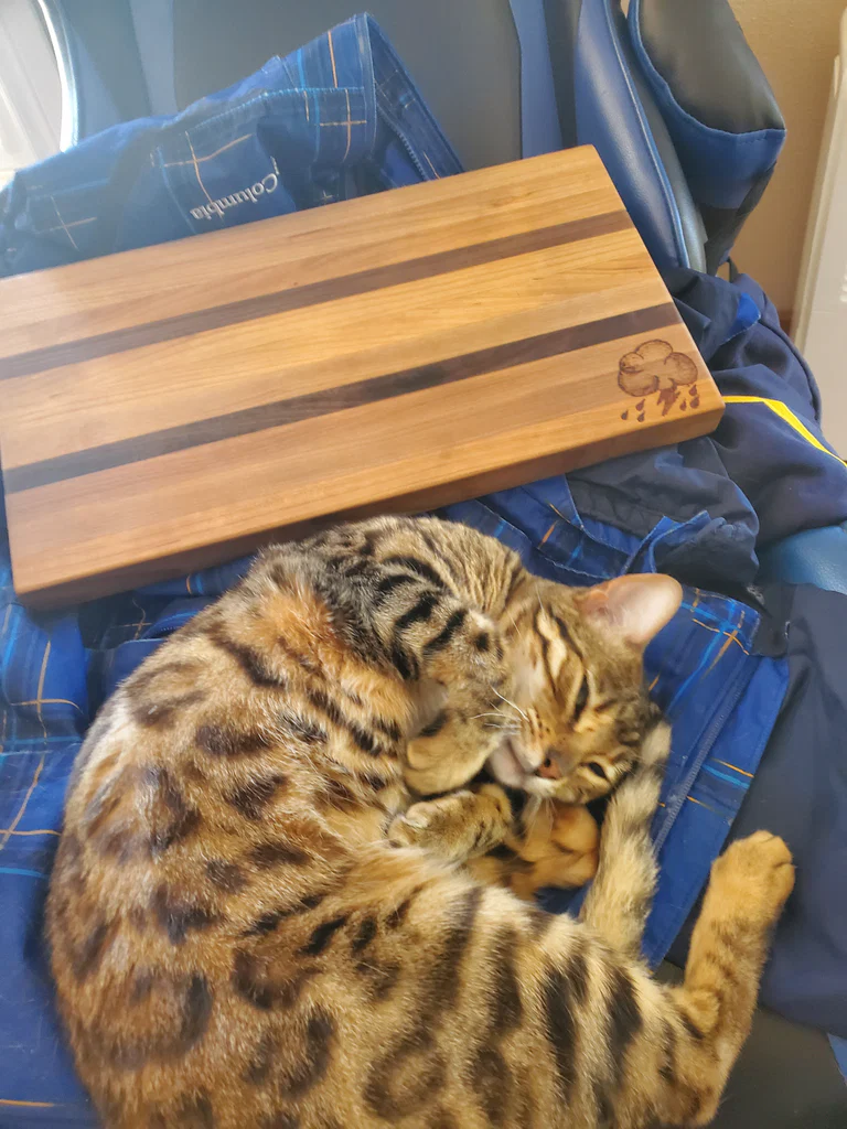 Midgetscat