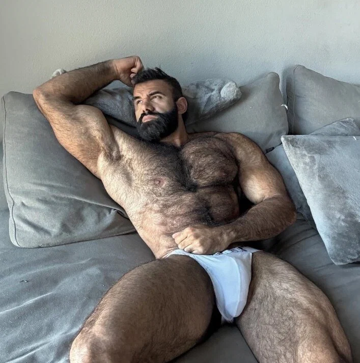 PERSIAN WOLF's avatar