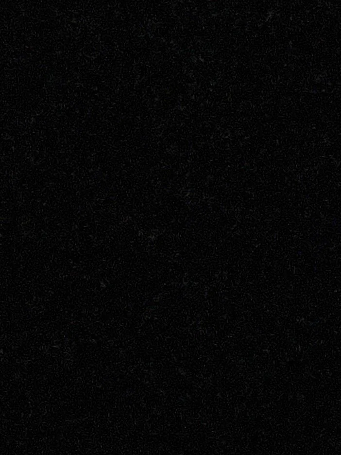 Sammie profile banner