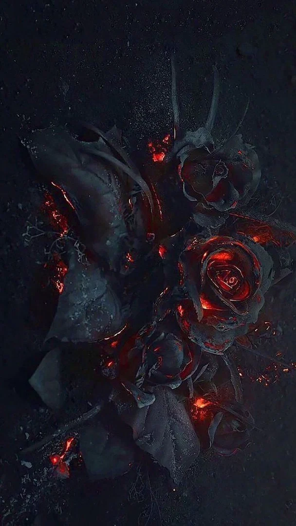 RoseKingnQueen profile banner