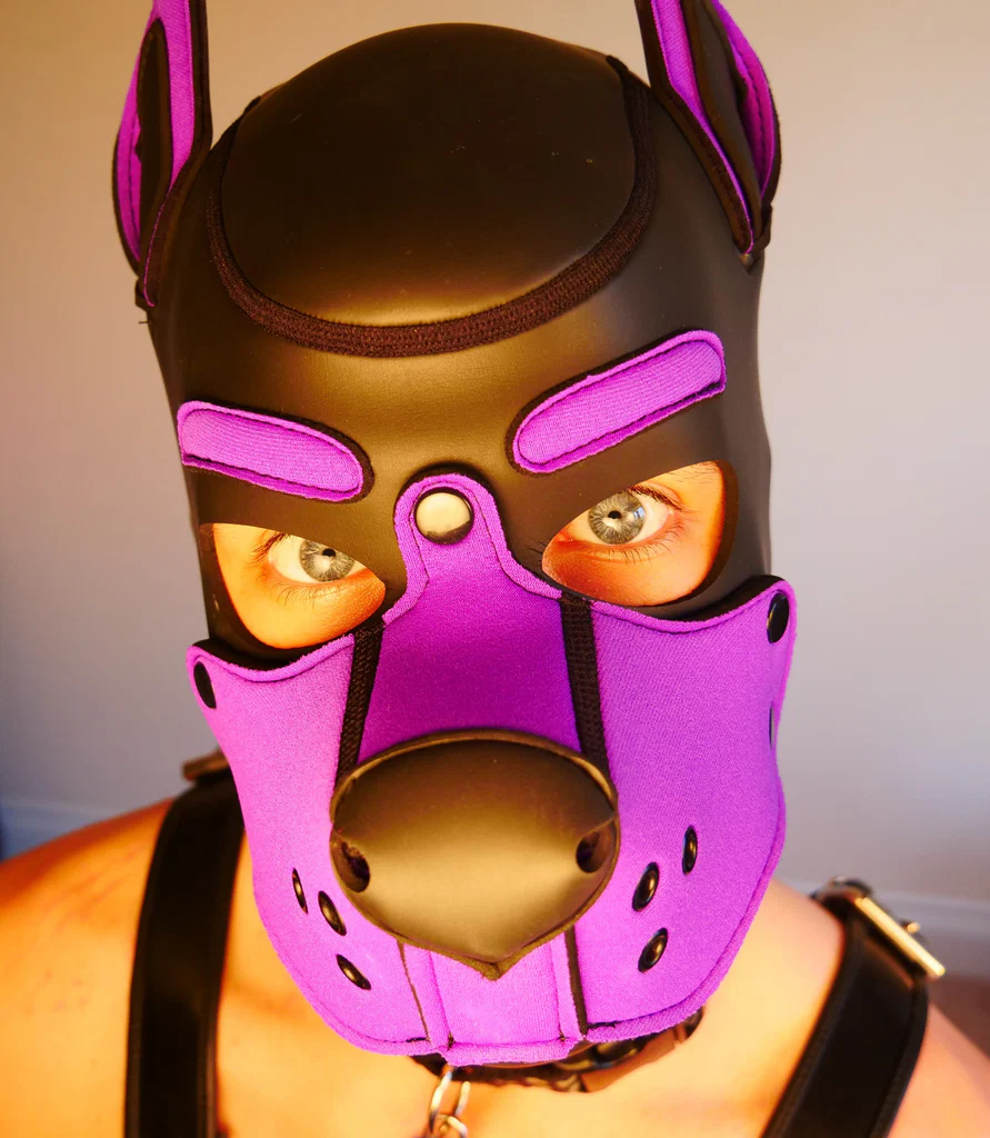 Loki The Purple Rubber Pupper's avatar