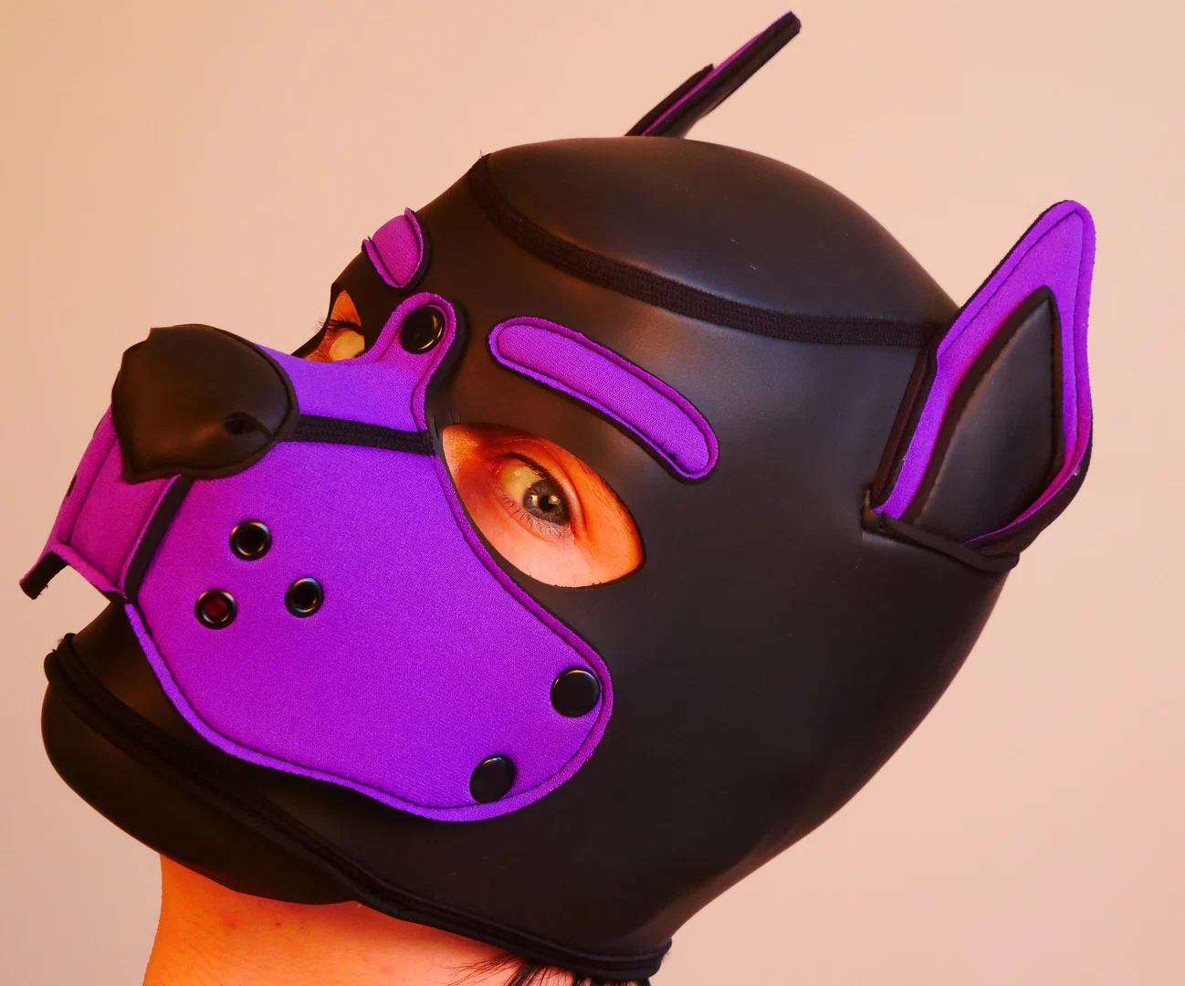 Loki The Purple Rubber Pupper profile banner
