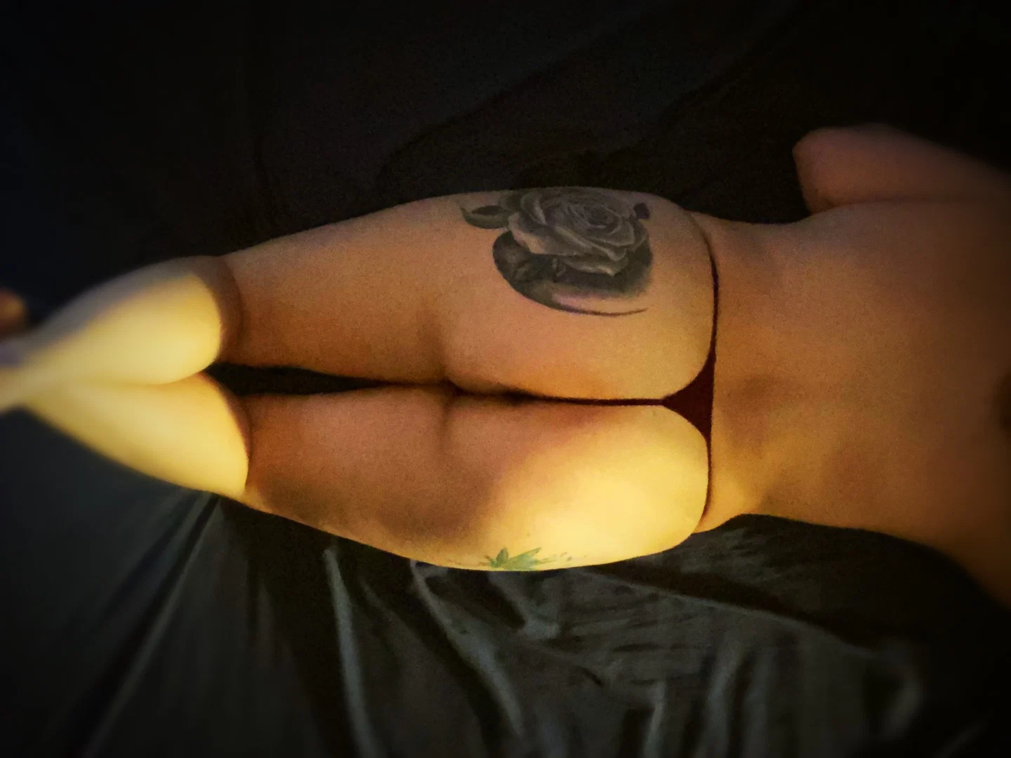 πΉ Allie rose πΉ profile banner