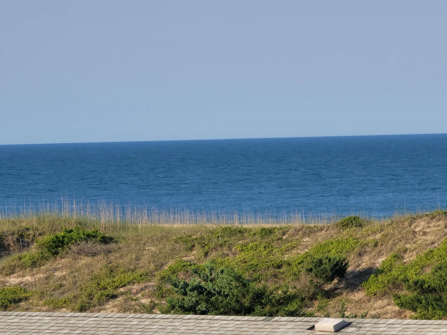 Rachel profile banner