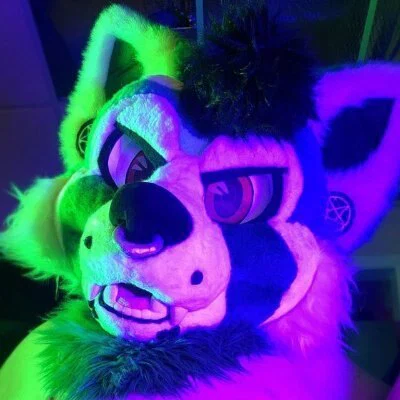 P A N D A's avatar