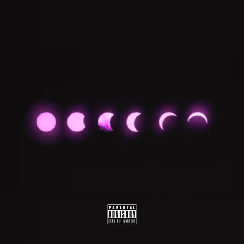 Domino π€ profile banner