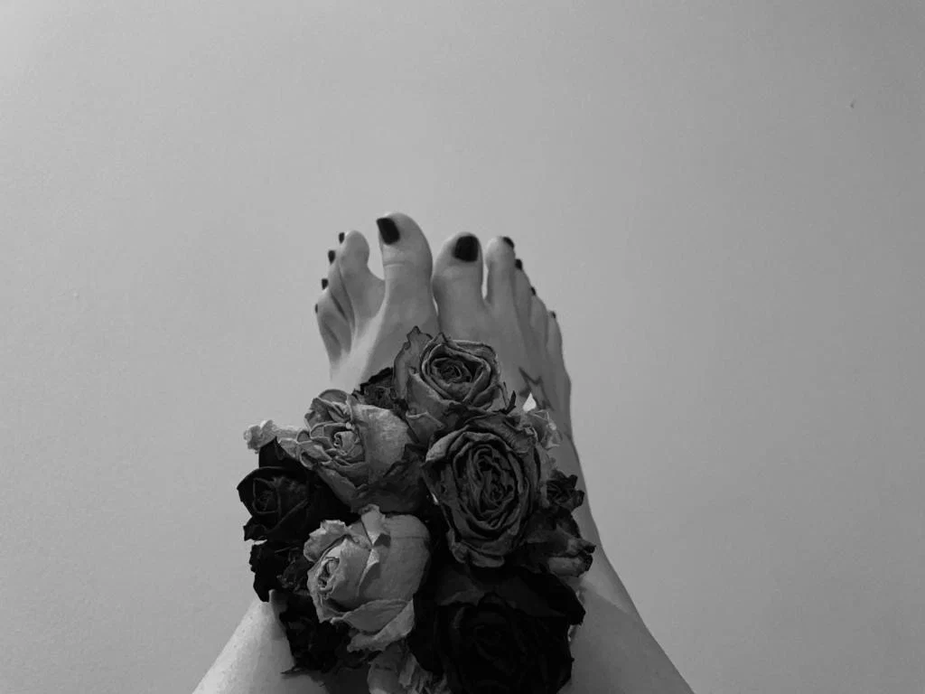 Andrea Zoe Ferrero profile banner