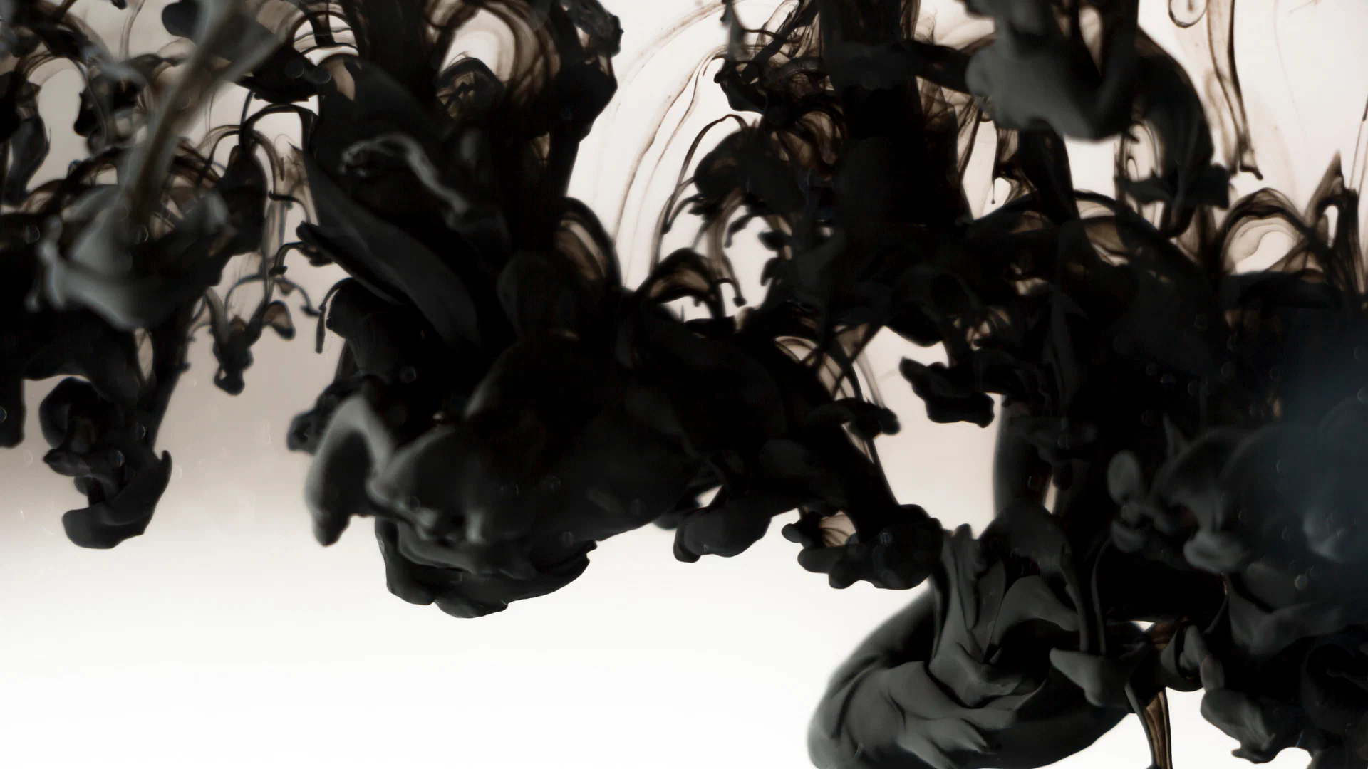 xxDatJaneDoexx profile banner
