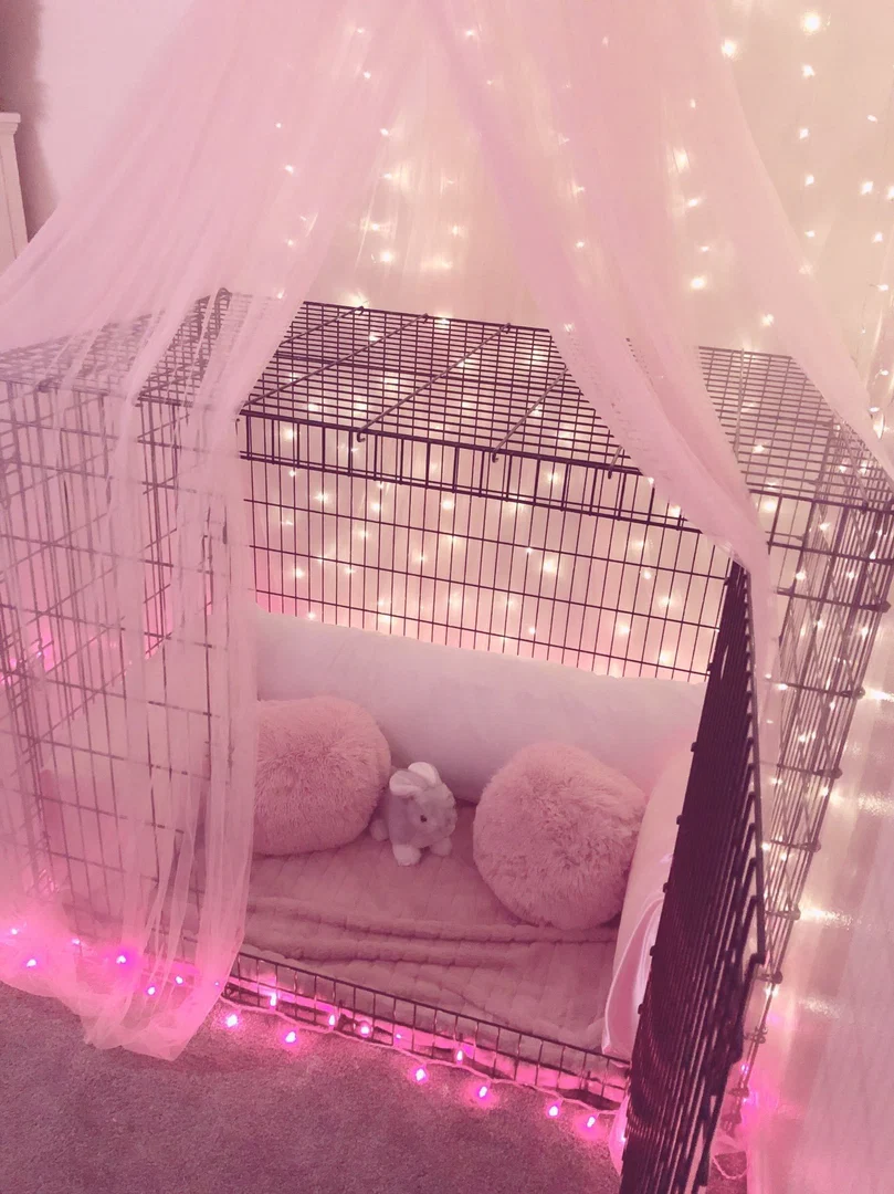 CryKitten profile banner