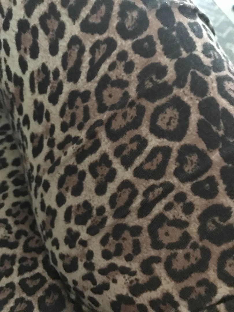 MissEllaneous profile banner