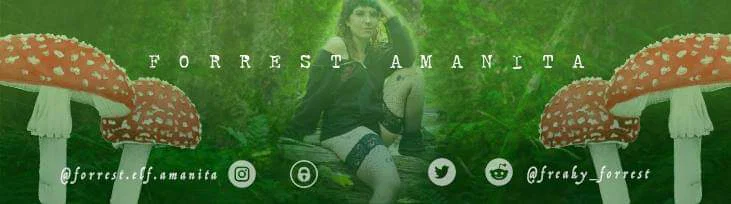 Forrest Amanita profile banner