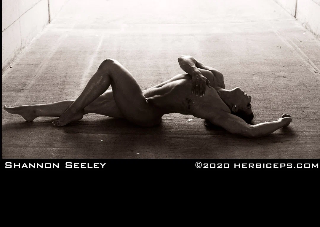Shannon Seeley profile banner