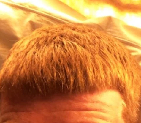 Hard Ginger Cock!