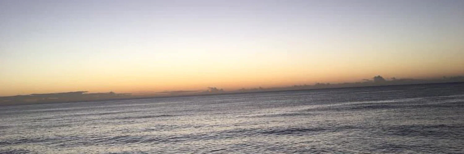 u24672719 profile banner