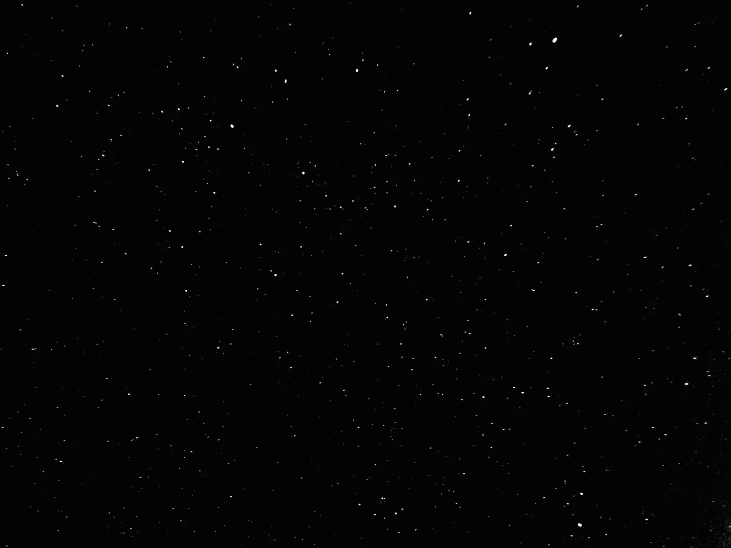 Welcome to my world #kingshit profile banner