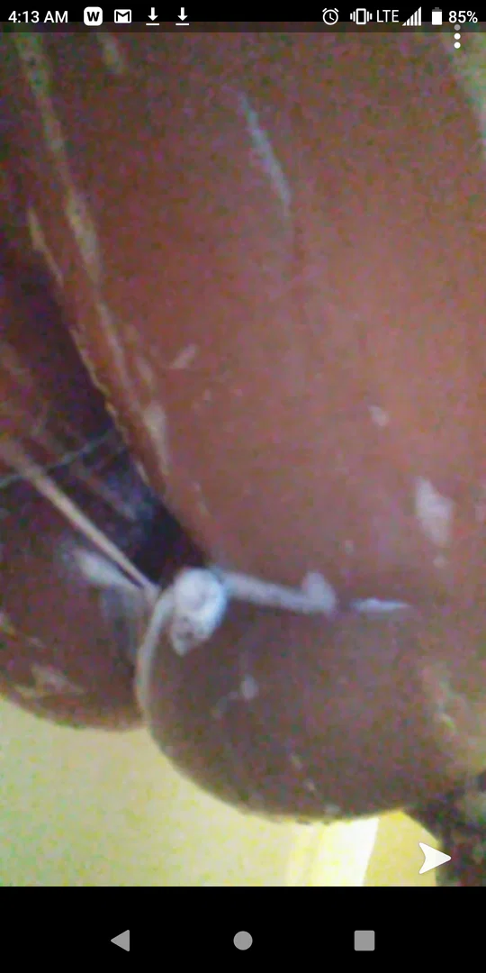 Taylor Denee profile banner