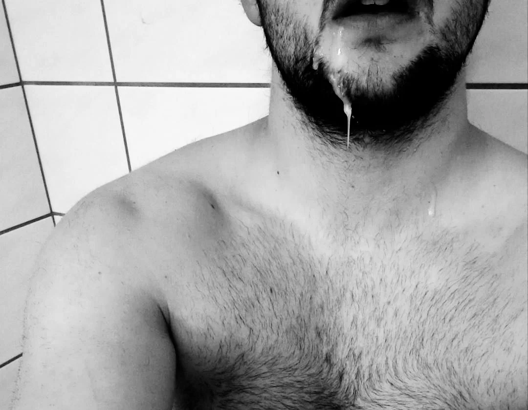 Swissbear profile banner