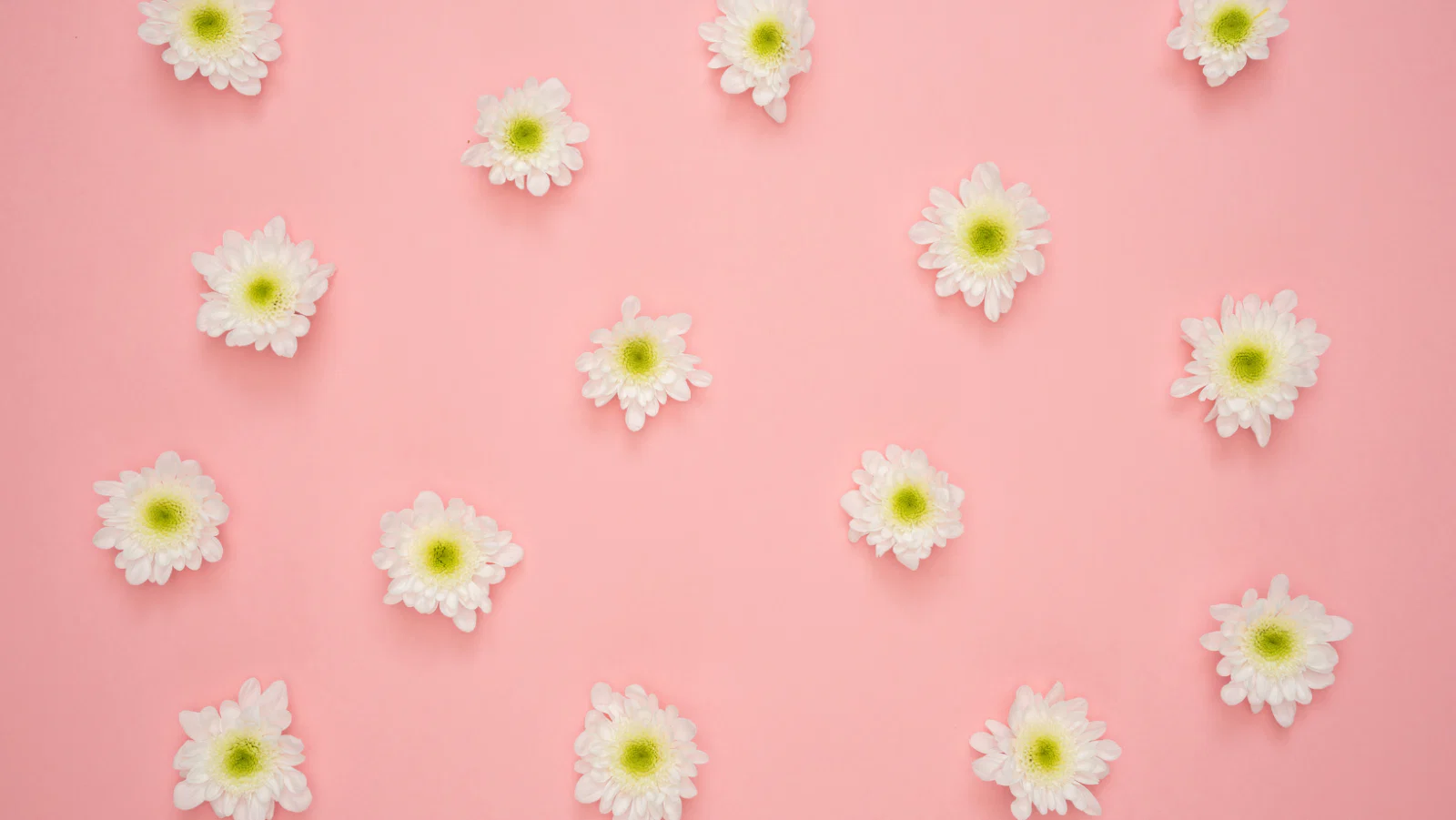 Natalie Grace profile banner
