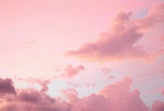 Rosie profile banner