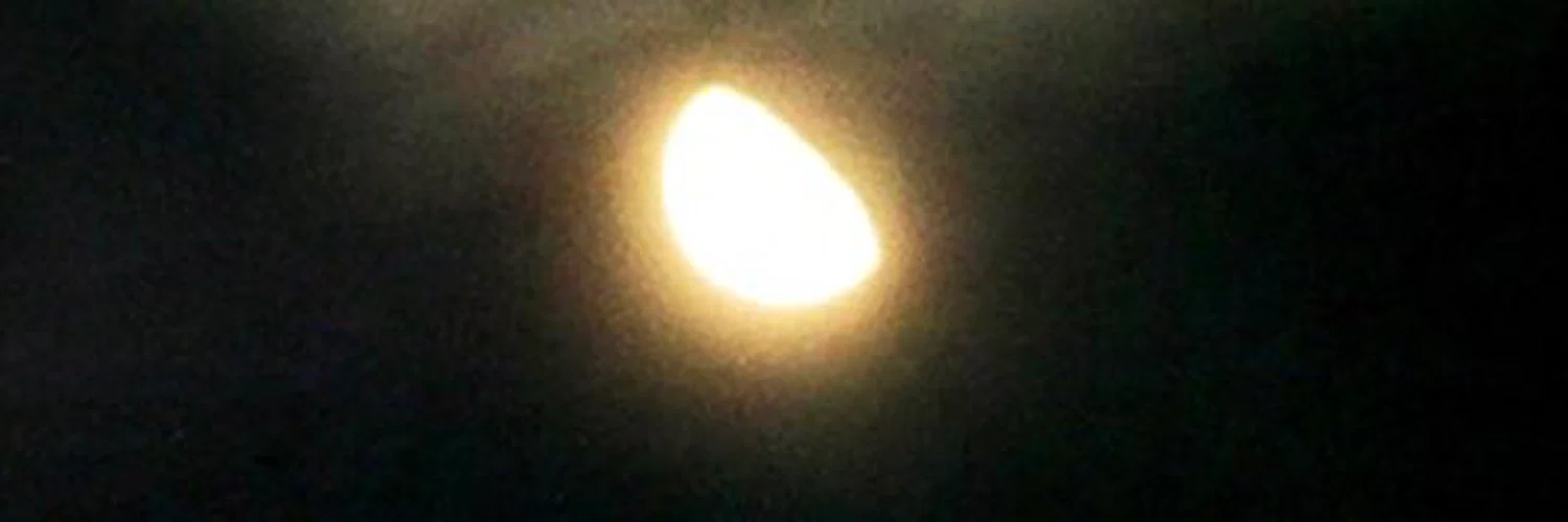 ashley dreemurr profile banner