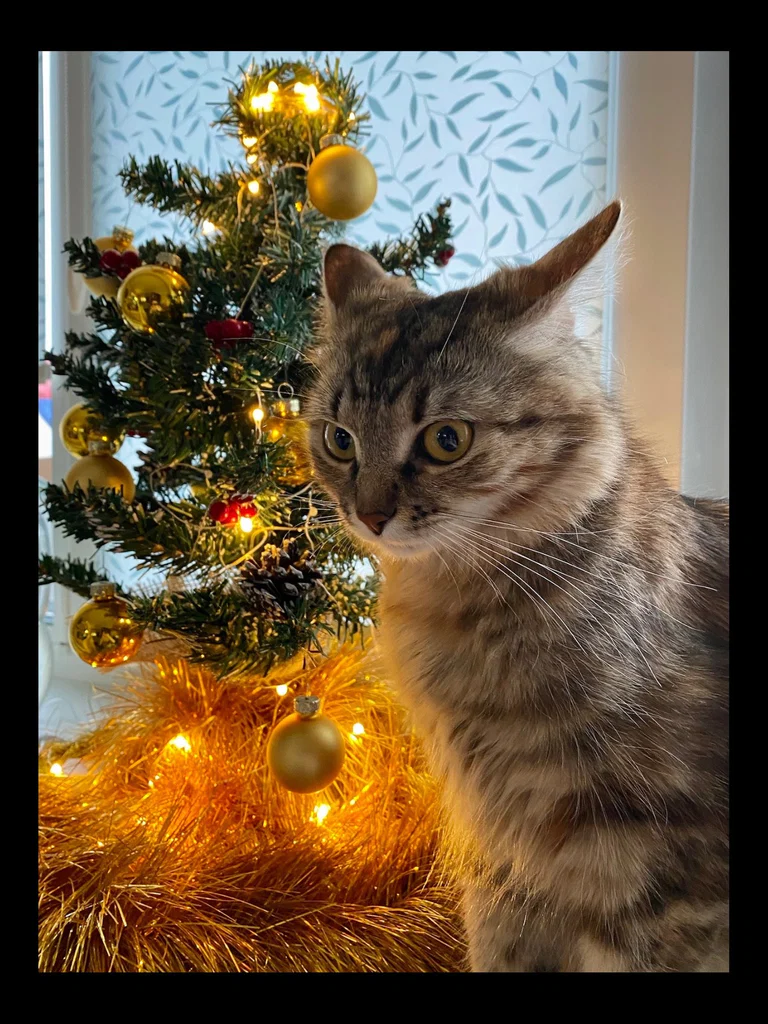 Yuki