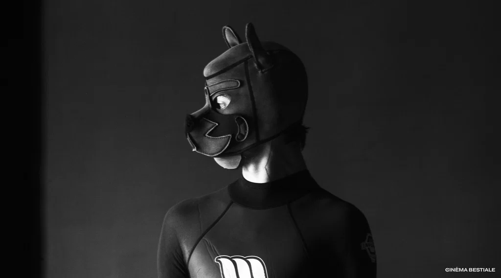 CINÉMA BESTIALE's avatar