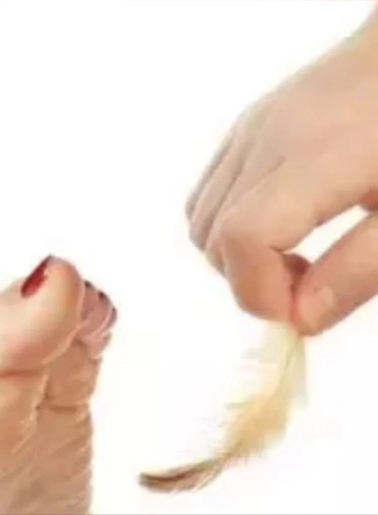 Feathers Are Forever sensation play!'s avatar