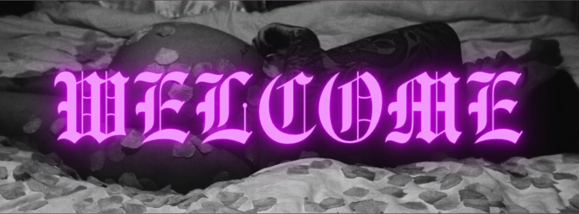 Taylor profile banner