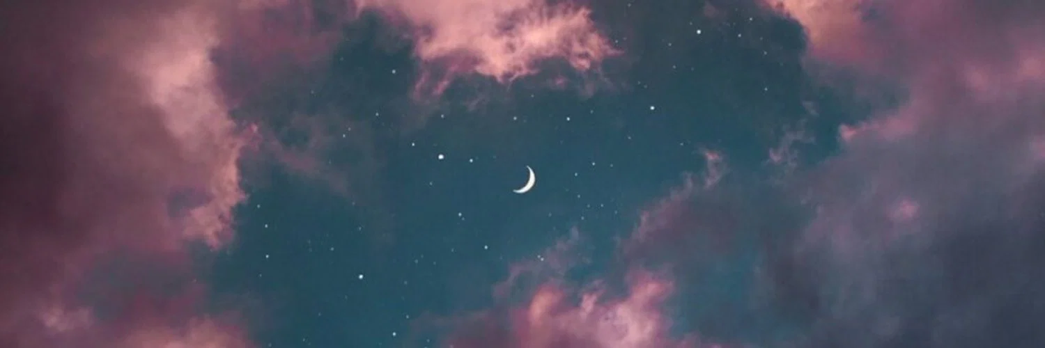 p r i n c e s s profile banner