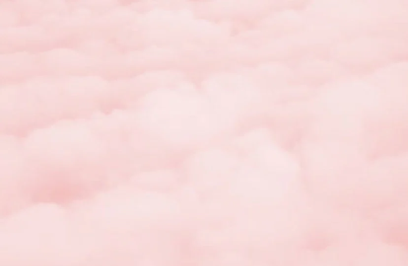 Daisy πΈβ¨ profile banner