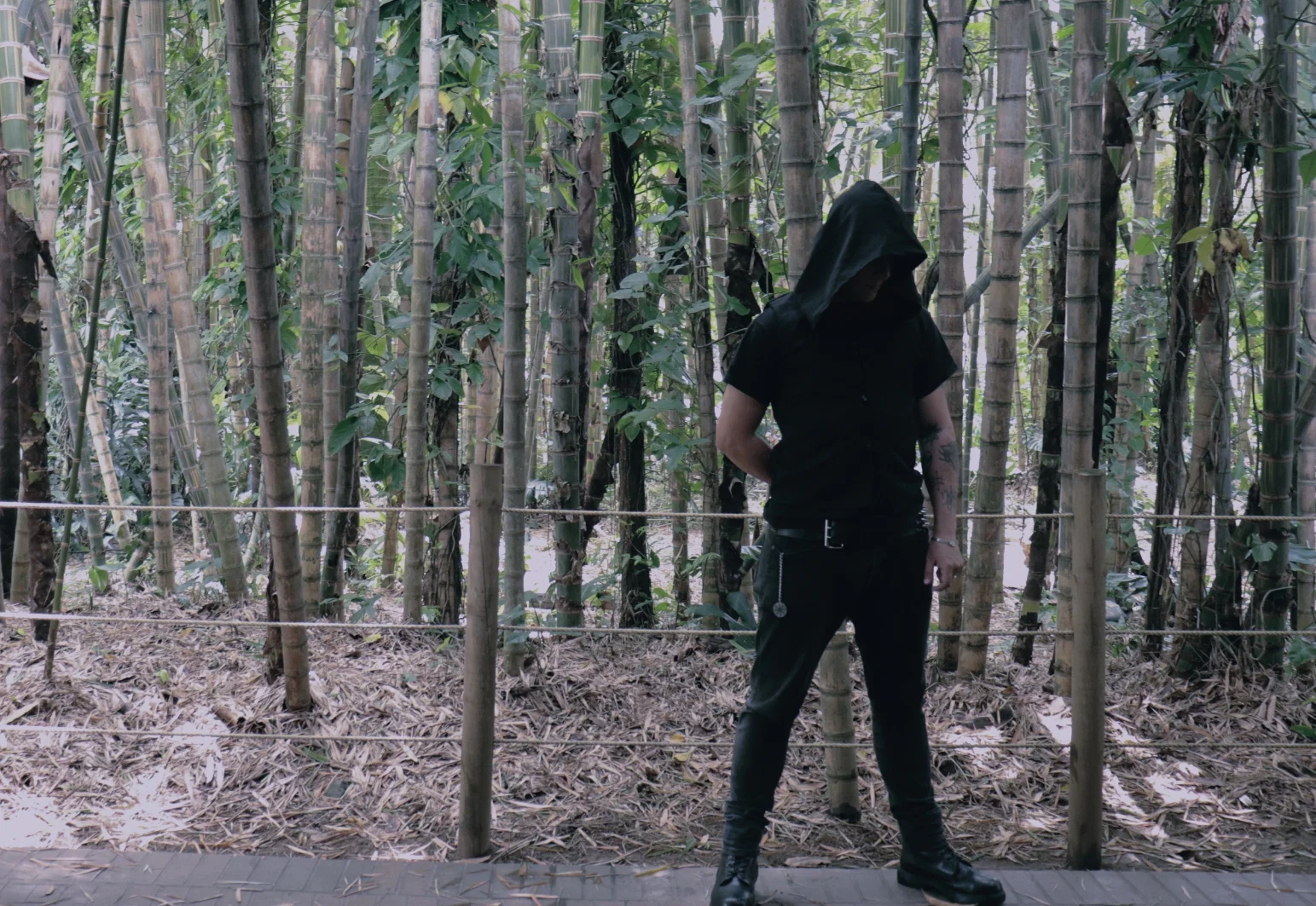 Cadavre Errant profile banner